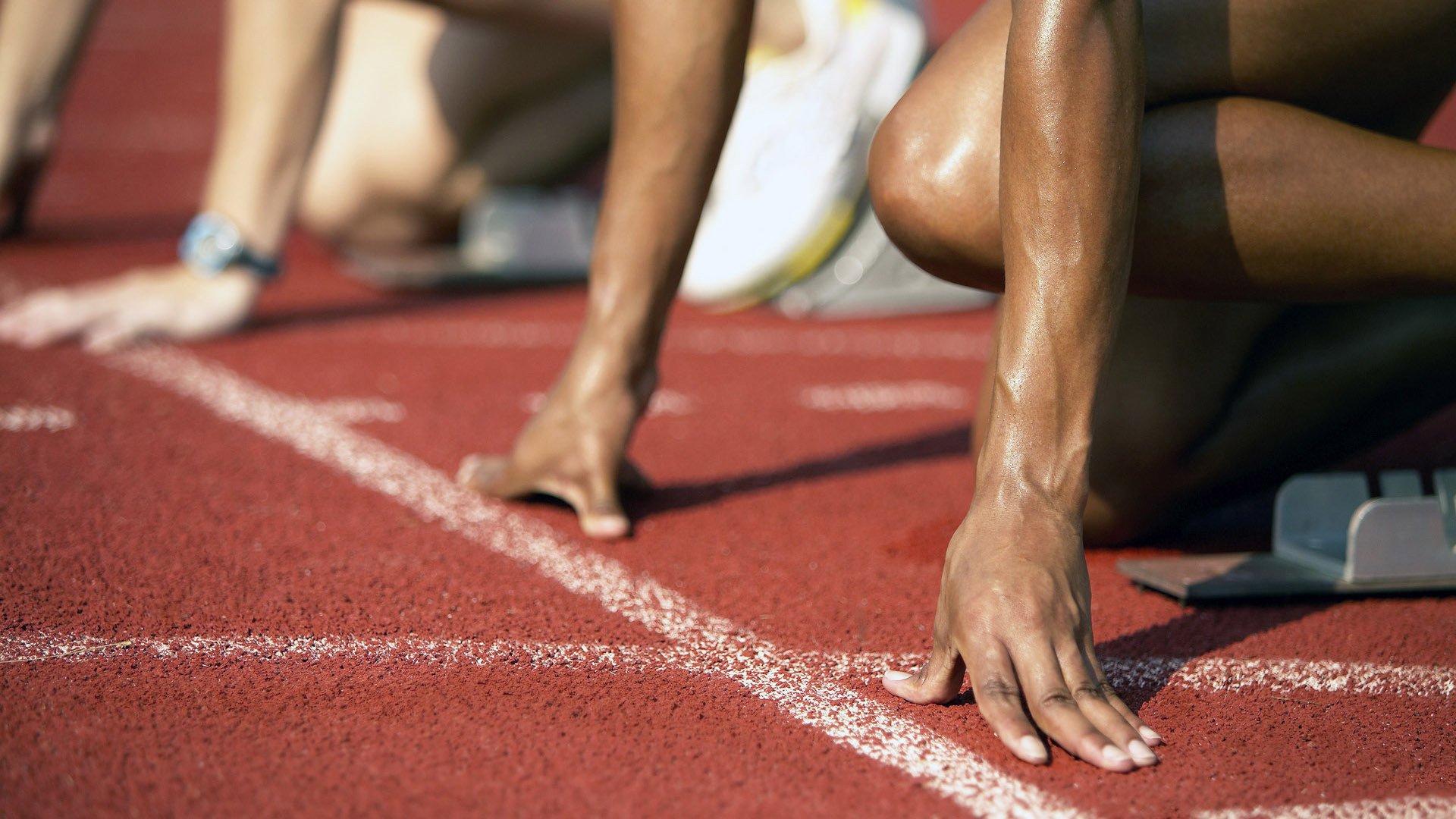 体育新闻中心上线体育新闻热点话题监测系统,体育新闻集锦