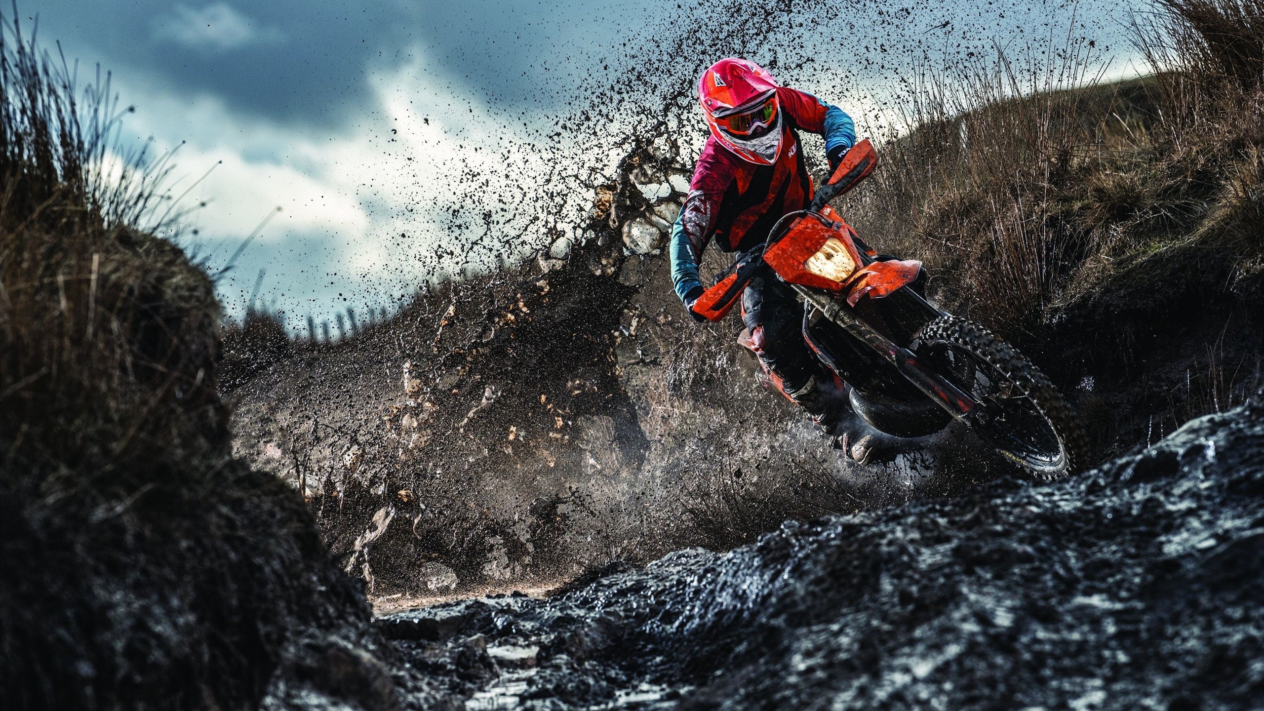 布莱顿锋线冲击力十足制造持续威胁,布莱顿战术